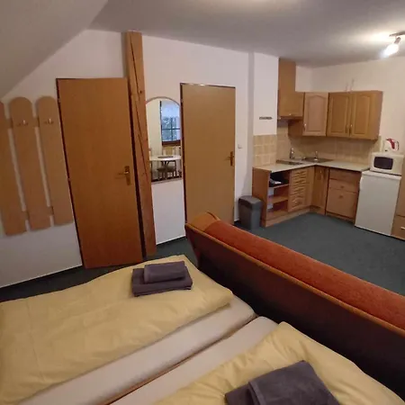 Apartmany U Gothaje Rokytnice nad Jizerou Exterior photo